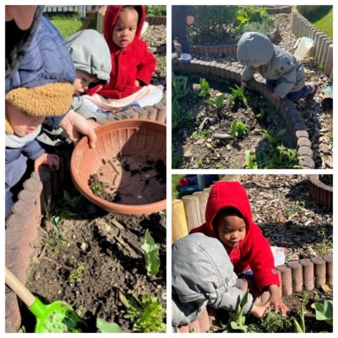 Activité de jardinage pour les enfants