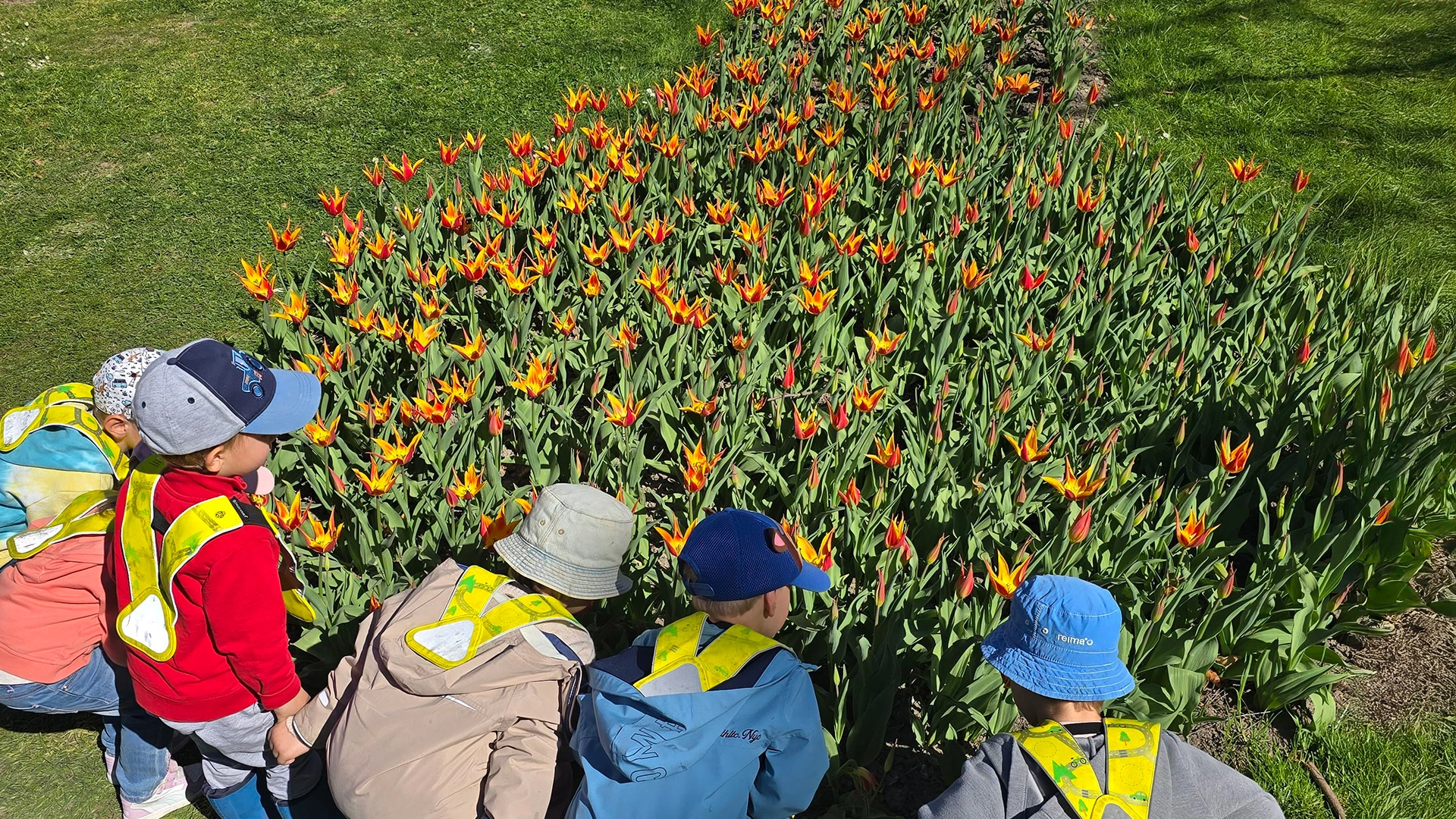 Une sortie printanière pour les Grands de la crèche 6 Sens à Saint-Sulpice