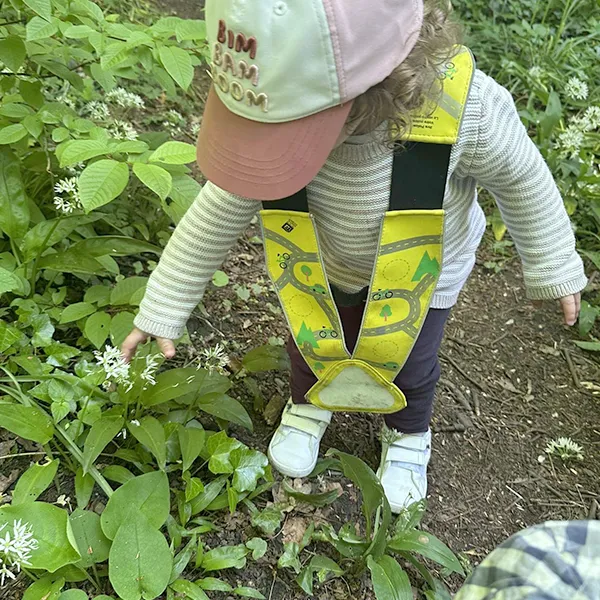 Cueillette de fleurs en forêt