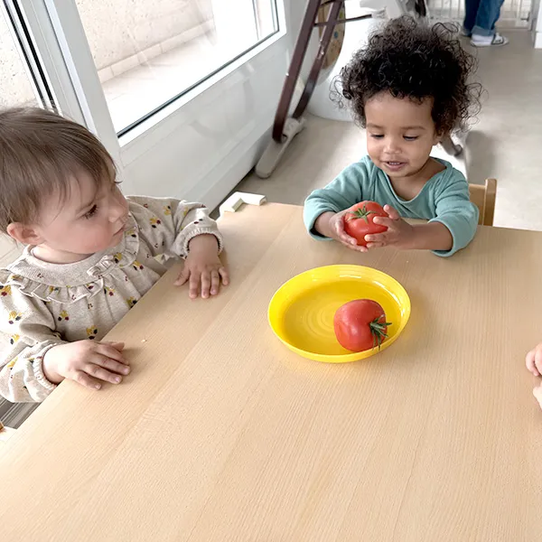 Enfant regardant une tomate