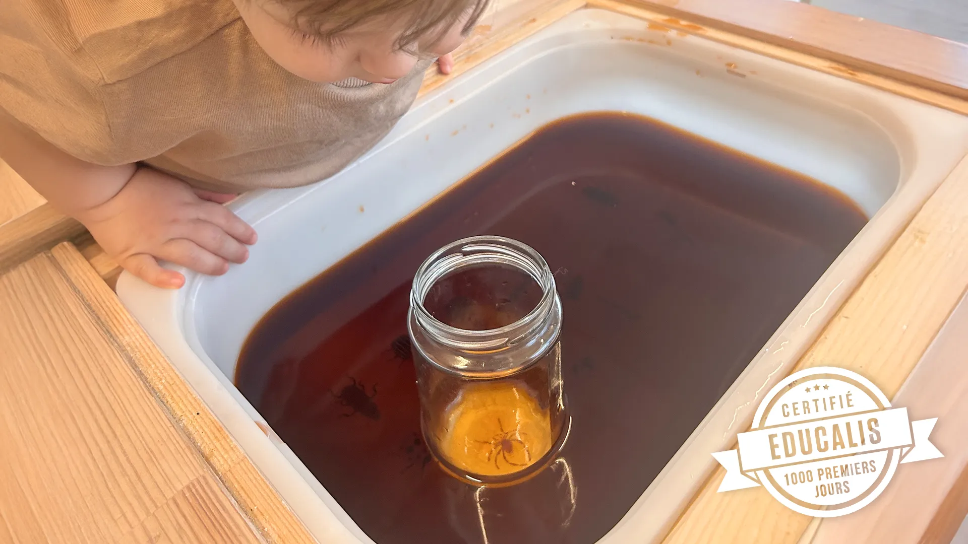 Vue d’ensemble de l’activité sensorielle avec bac d’eau colorée et figurines d’insectes chez les Trotteurs.