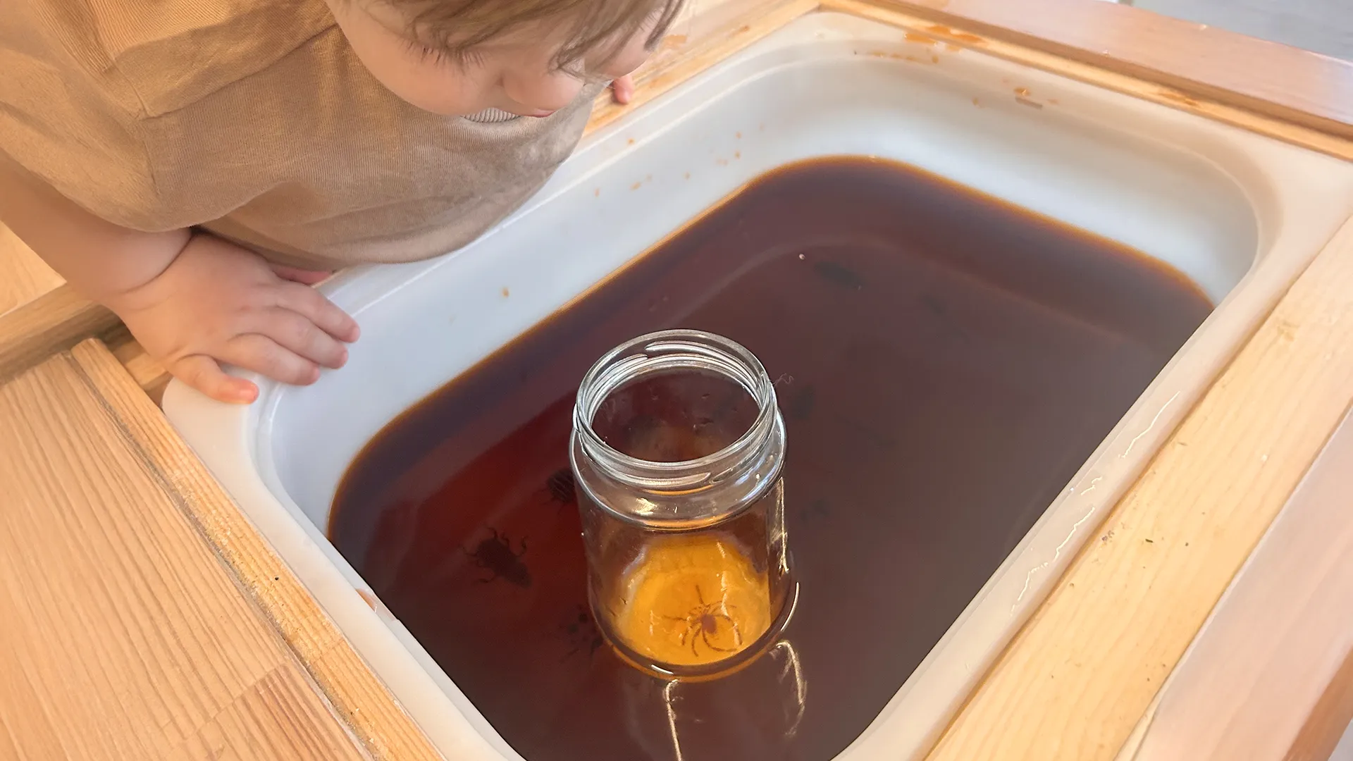 Vue d’ensemble de l’activité sensorielle avec bac d’eau colorée et figurines d’insectes chez les Trotteurs.