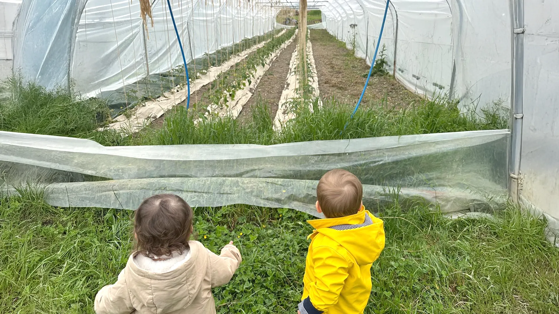 Bébés observant un légume dans les champs de la ferme de Bassenges.