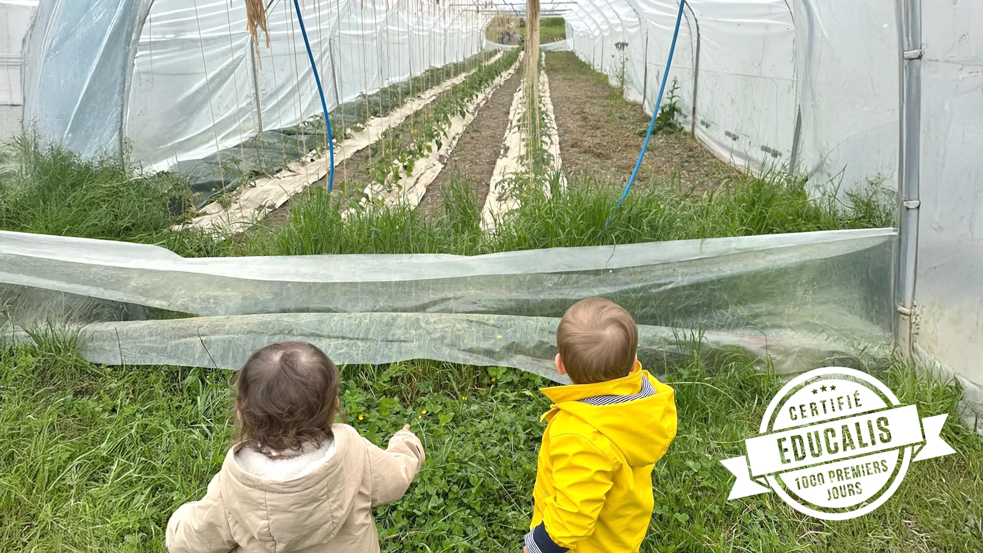 Bébés observant un légume dans les champs de la ferme de Bassenges.