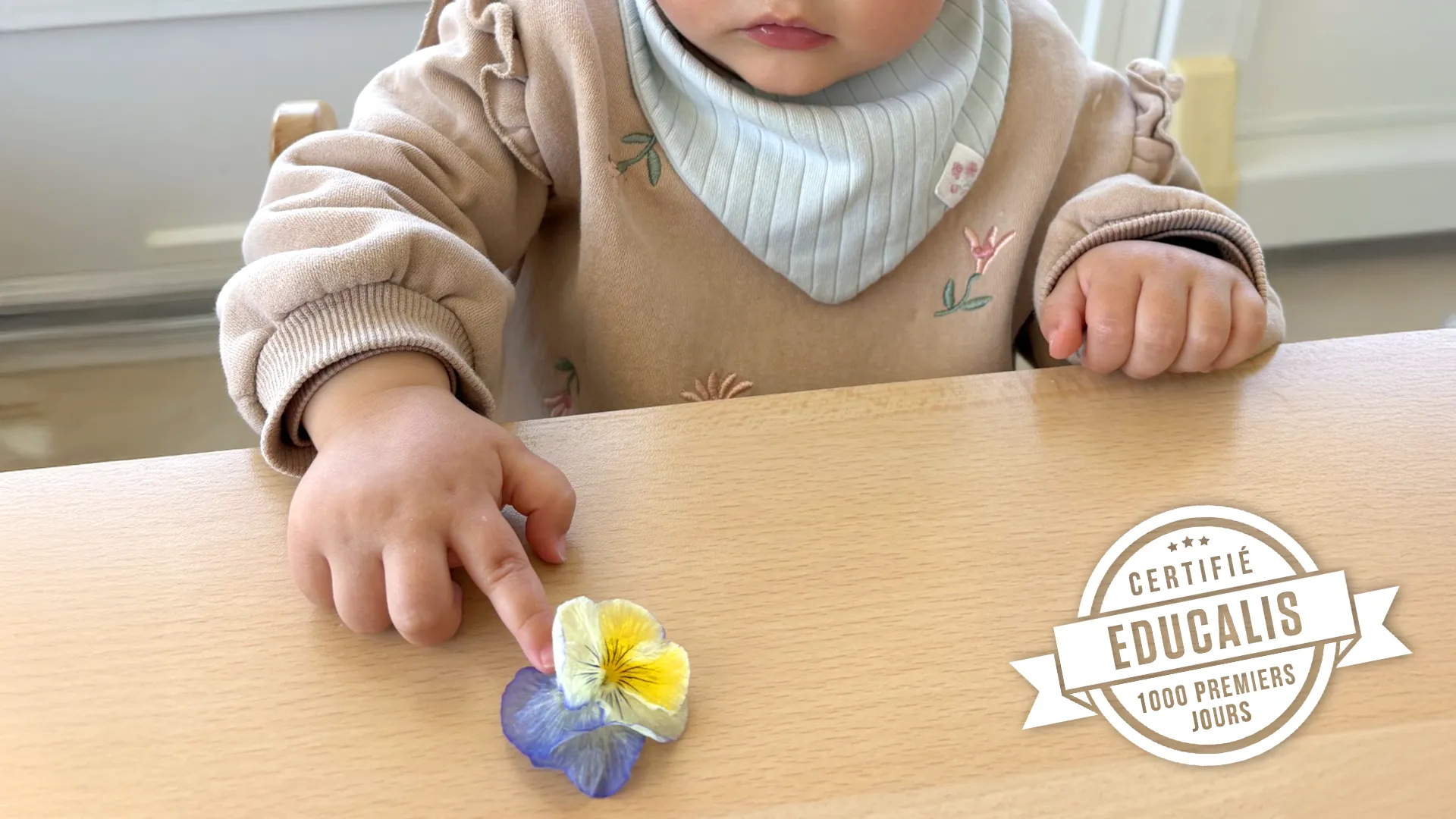 6 Sens Fleurs Comestibles 00