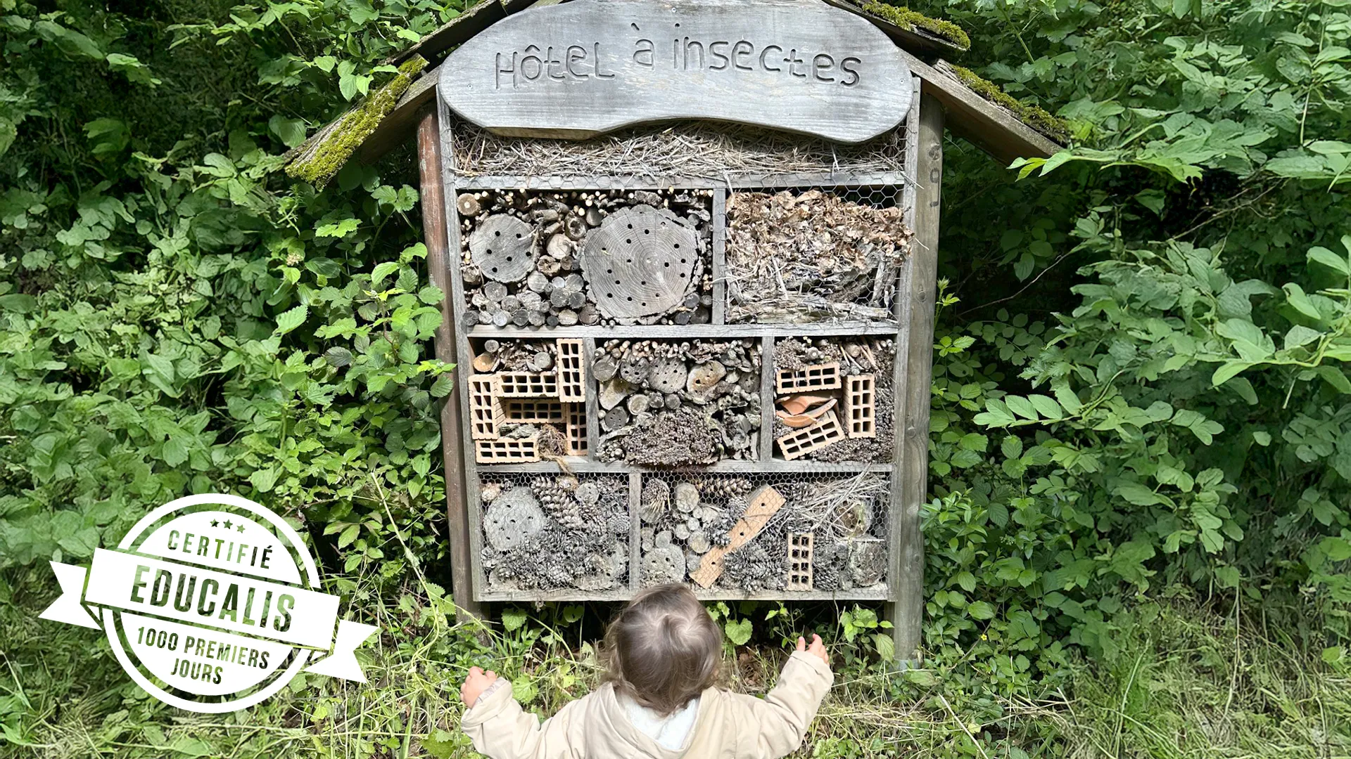 Maison des Insectes EPFL