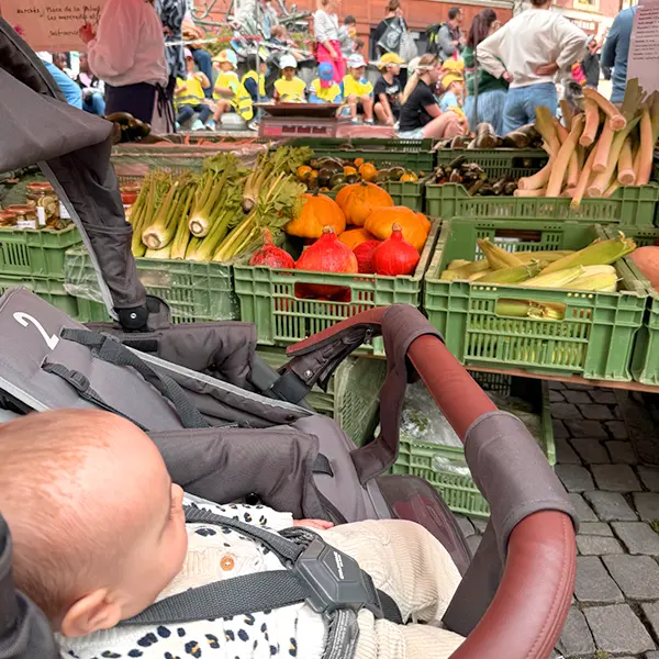 Découverte des fruits et légumes au marché de Lausanne, mission abricots.