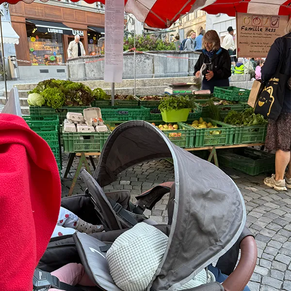 6 Sens Balades Fleurs 01 Copie