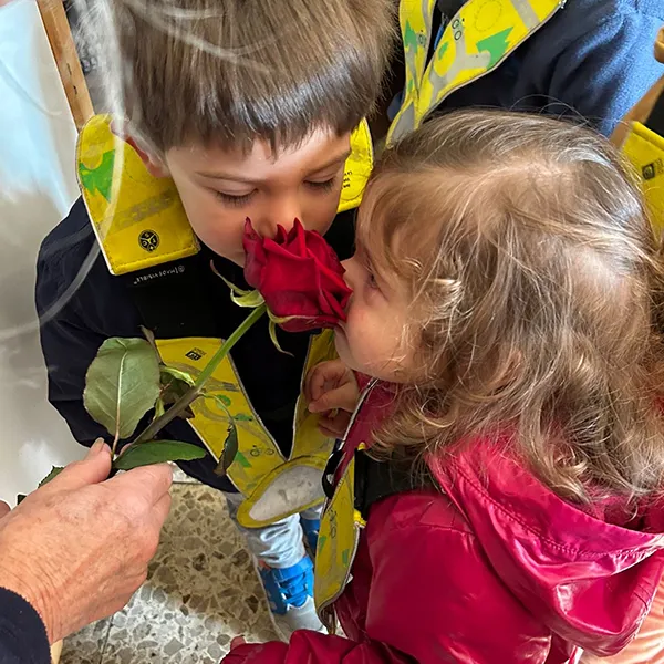 6 Sens Balades Fleurs 04