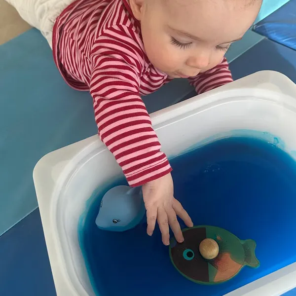 6sens Bebes Jeu Animaux Gelifies02