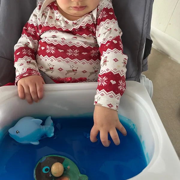 6sens Bebes Jeu Animaux Gelifies03