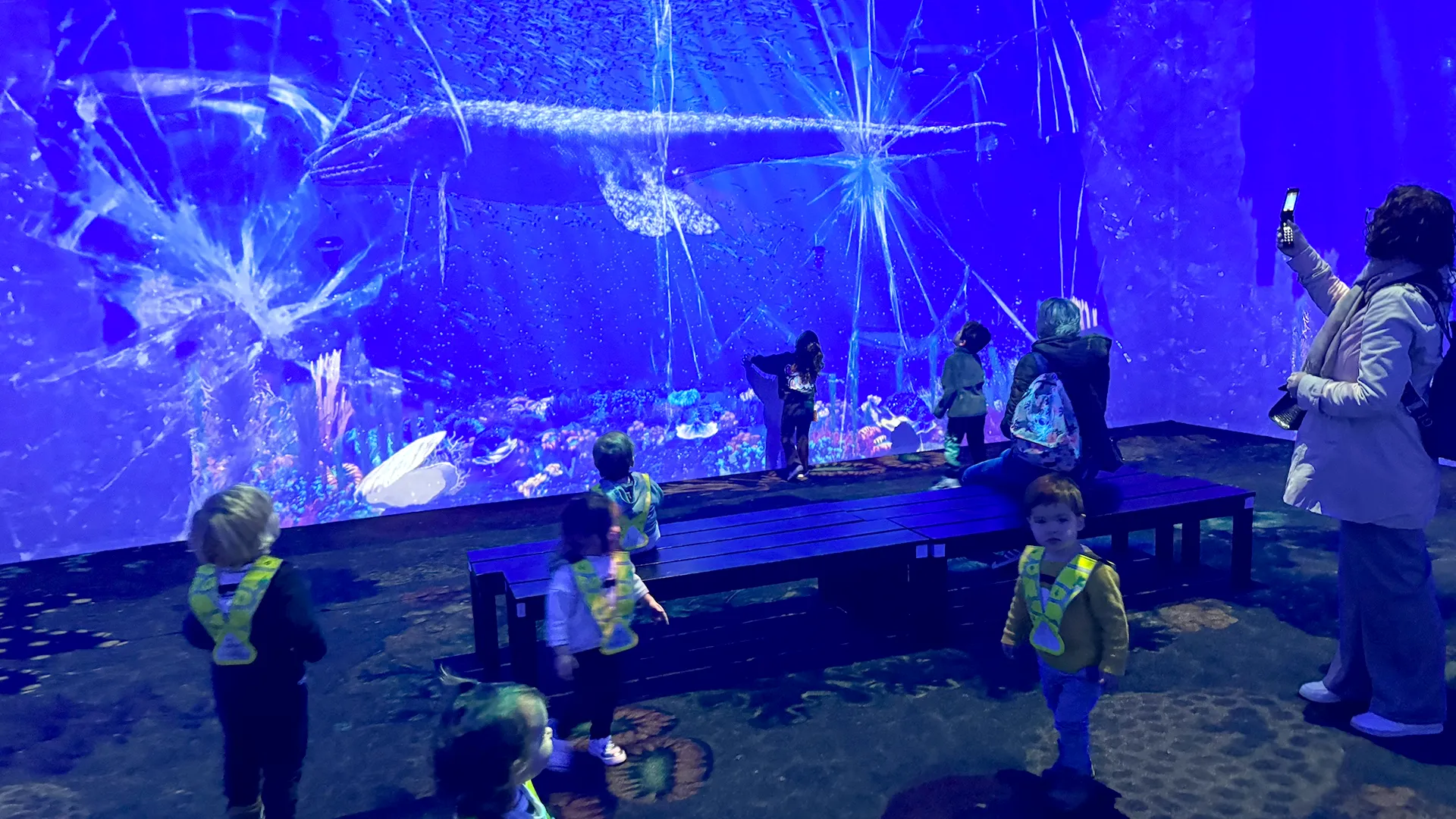 6sens Trotteurs Alive Dino Lausanne00