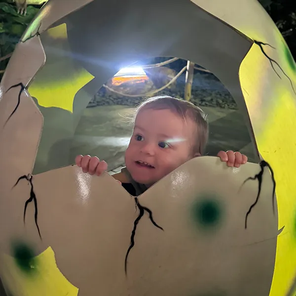 6sens Trotteurs Alive Dino Lausanne01