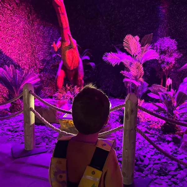 6sens Trotteurs Alive Dino Lausanne04