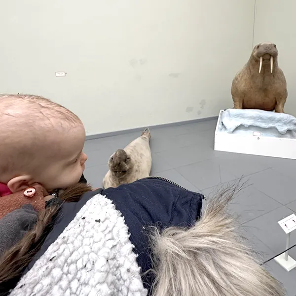 Sortie Musee Animaux Creche 6 Sens Saint Sulpice 01