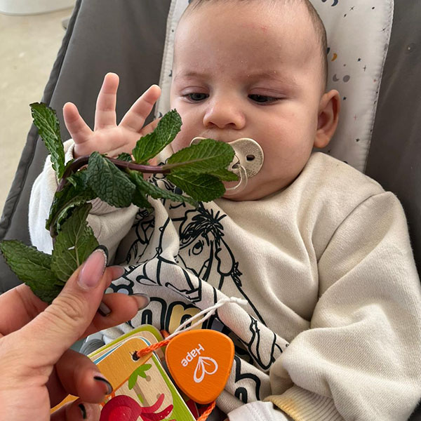 6sens Activite Herbes Aromatiques Peinture Saint Sulpice 02