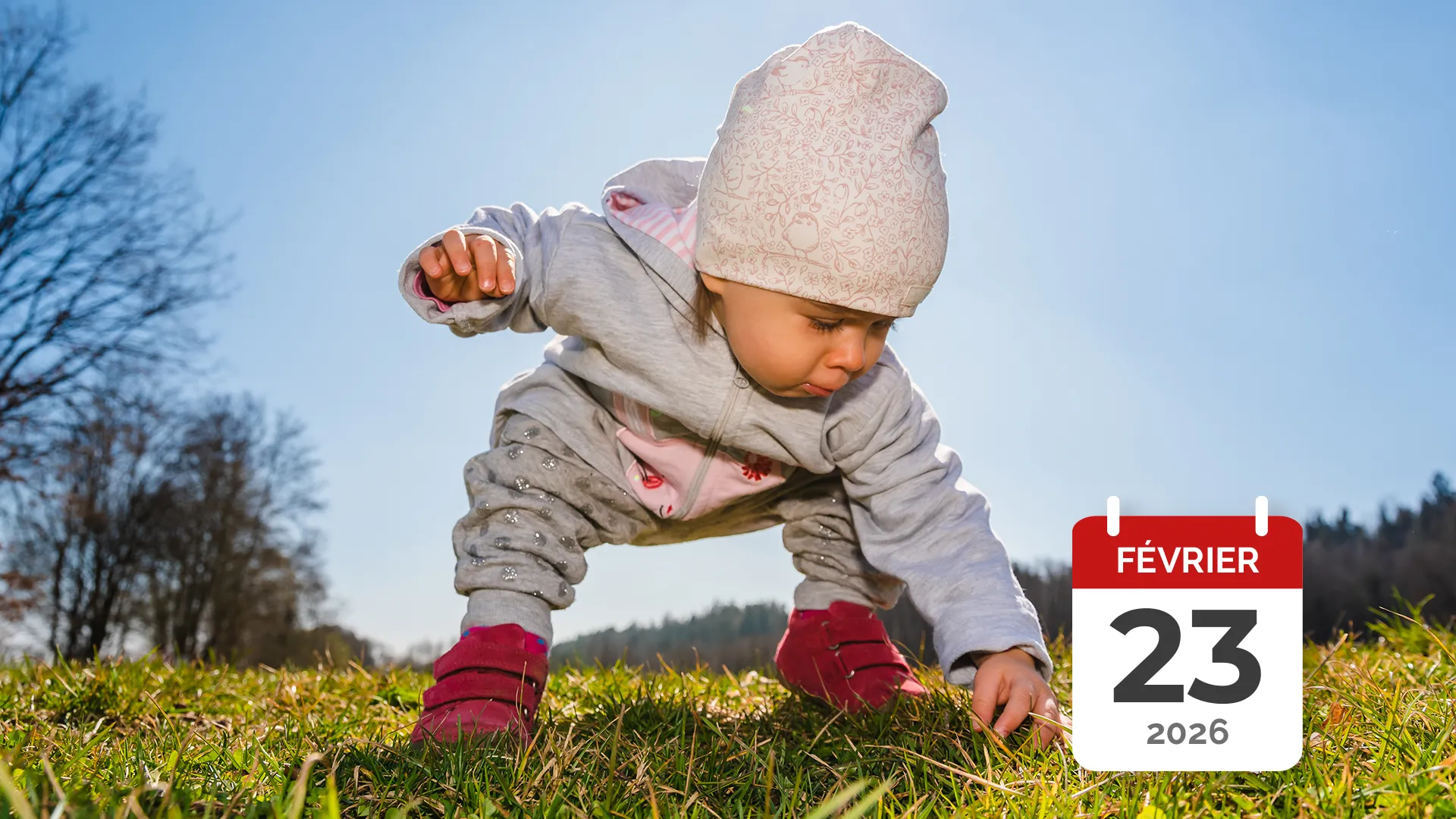 Nanosphere Formation La Pedagogie Nature 23 02 2026