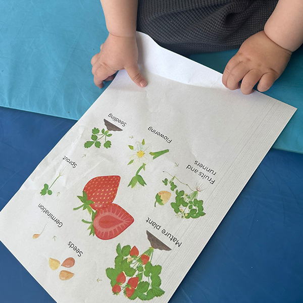 6 Sens Fraise Musee Enfants Saint Sulpice 01