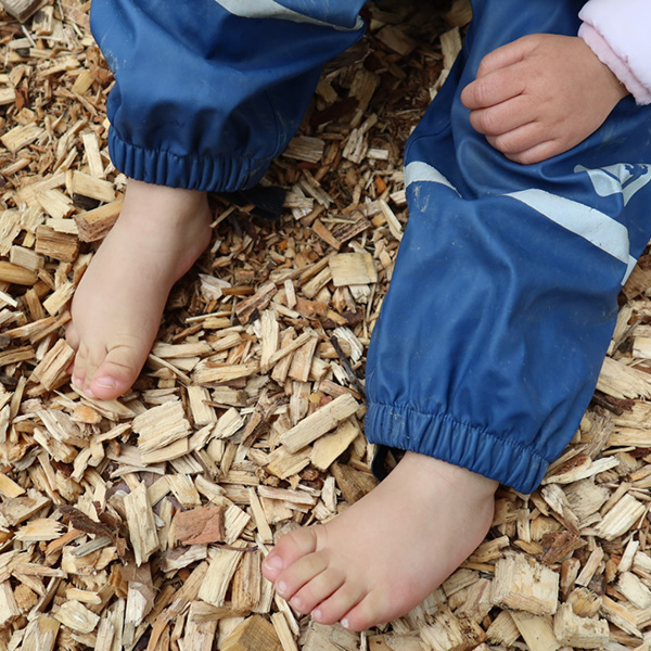 Exploration Pieds Nus Foret Enfants 6sens 04