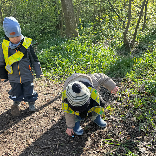 Sortie Foret Enfants Creche 6sens 07