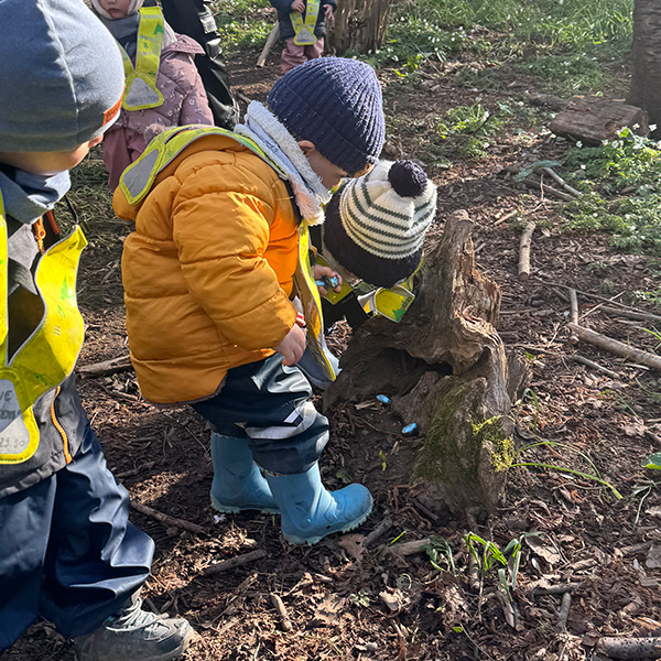Sortie Foret Enfants Creche 6sens 10
