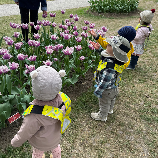Creche 6 Sens Tulipes Morges Saint Sulpice 01