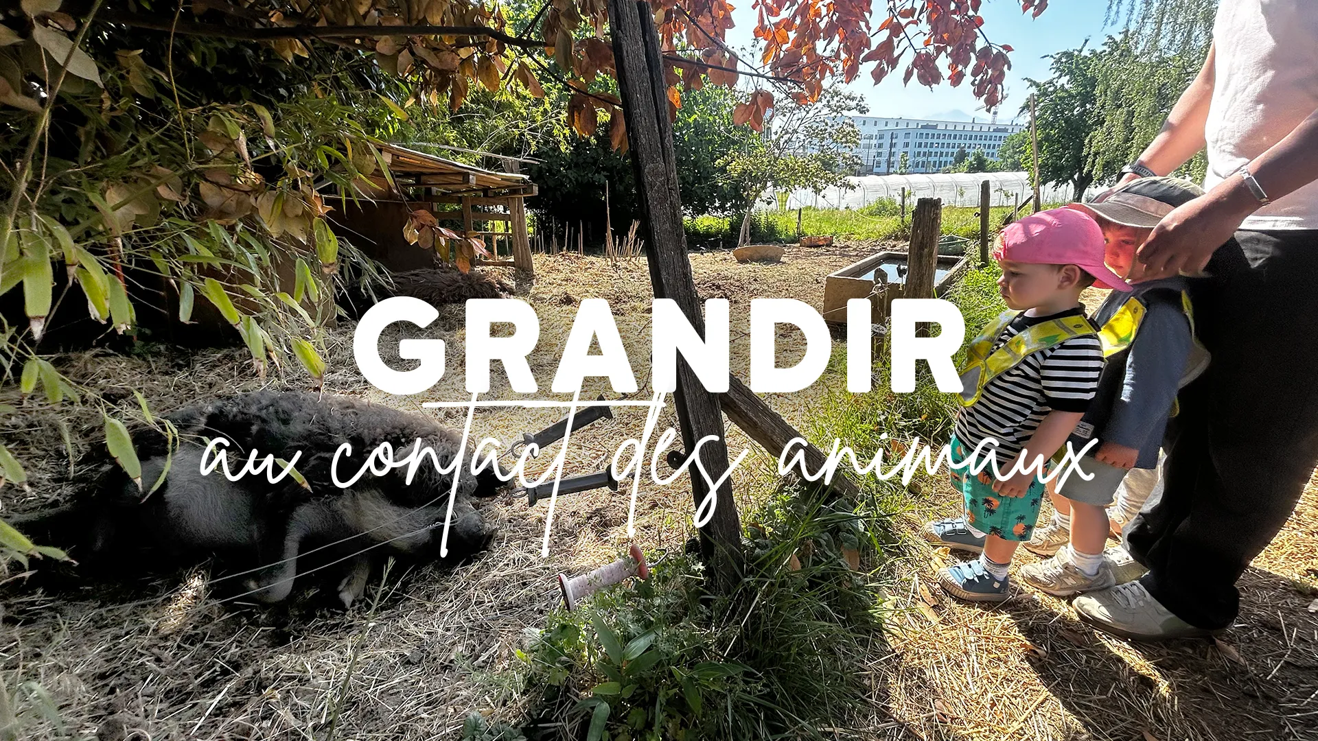 Sortie Ferme Enfants 6sens Saint Sulpice 00