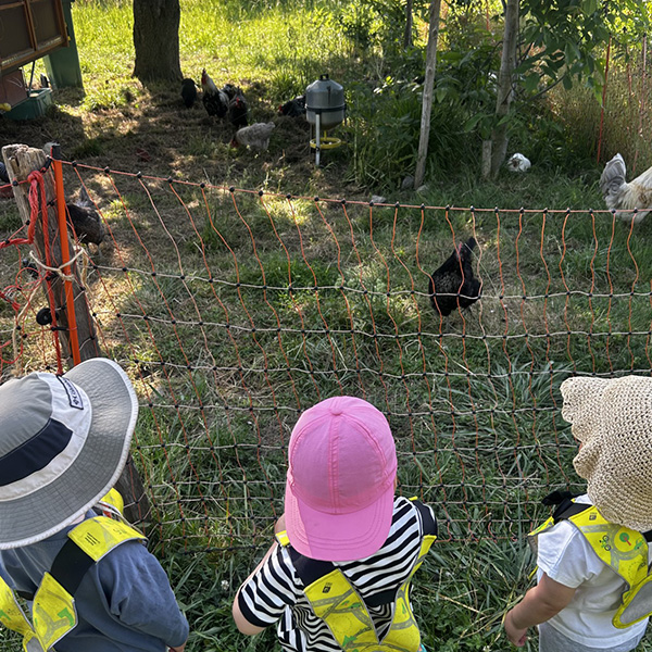 Sortie Ferme Enfants 6sens Saint Sulpice 01