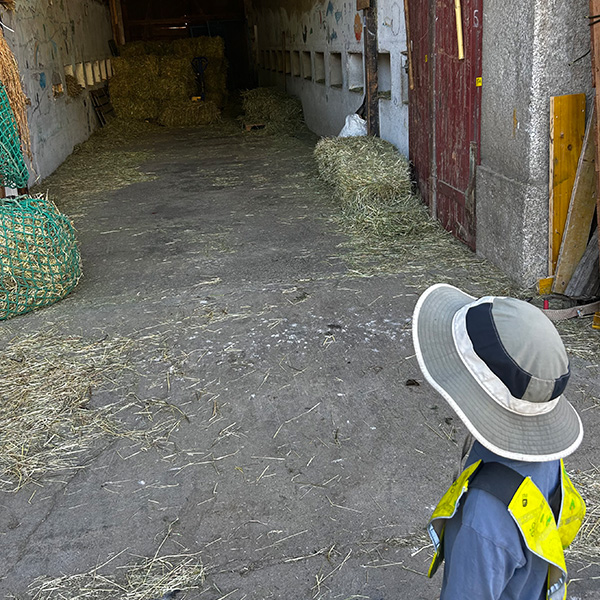 Sortie Ferme Enfants 6sens Saint Sulpice 02