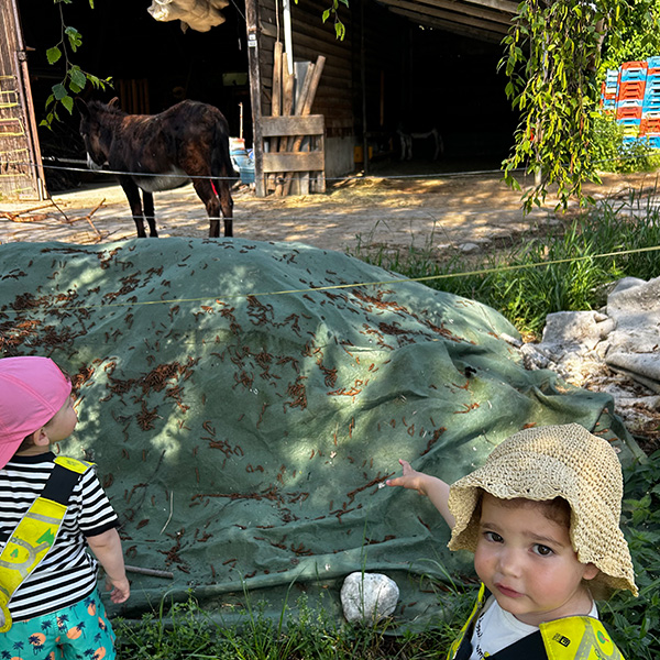 Sortie Ferme Enfants 6sens Saint Sulpice 06