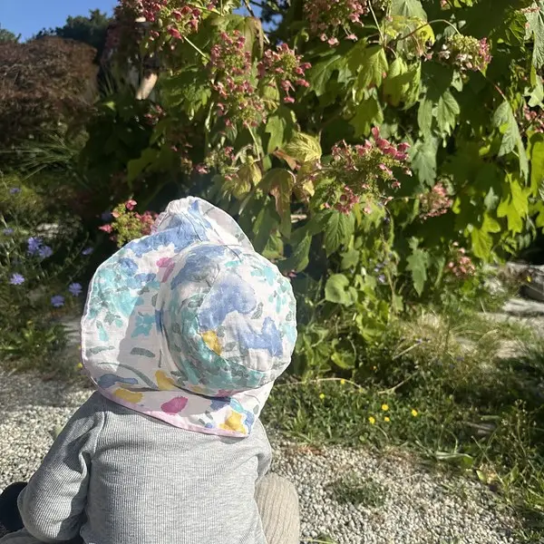 6 Sens Observer Plante Jardin Botanique Lausanne