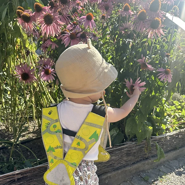 6 Sens Toucher Fleur Jardin Botanique Lausanne